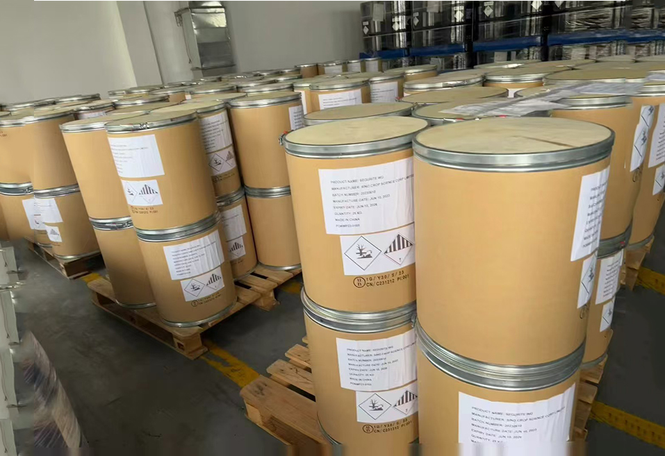 Powder Products
